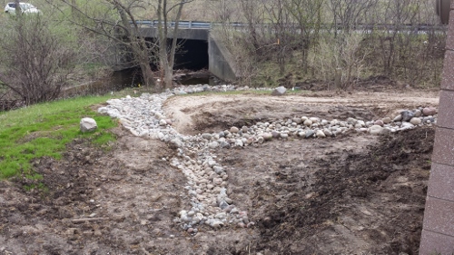 Winton Rain Garden (1)